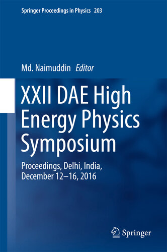 XXII DAE High Energy Physics Symposium: Proceedings, Delhi, India, December 12 -16, 2016 (Springer Proceedings in Physics Book 203)