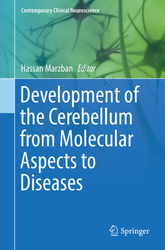 Development of the Cerebellum from Molecular Aspects to Diseases (Contemporary Clinical Neuroscience)