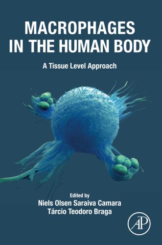 Macrophages in the Human Body: A Tissue Level Approach