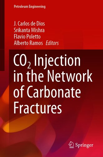 CO2 Injection in the Network of Carbonate Fractures (Petroleum Engineering)