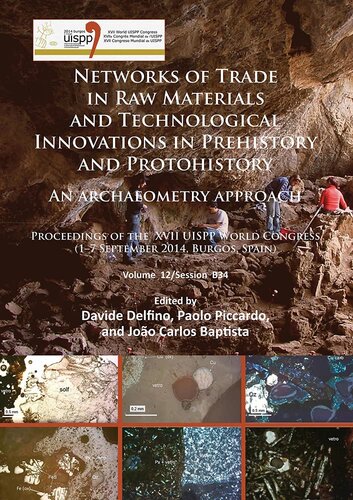 Networks of trade in raw materials and technological innovations in Prehistory and Protohistory: an archaeometry approach: Proceedings of the XVII ... B34 (Proceedings of the UISPP World Congress)