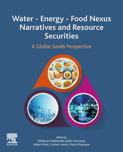 Water - Energy - Food Nexus Narratives and Resource Securities: A Global South Perspective
