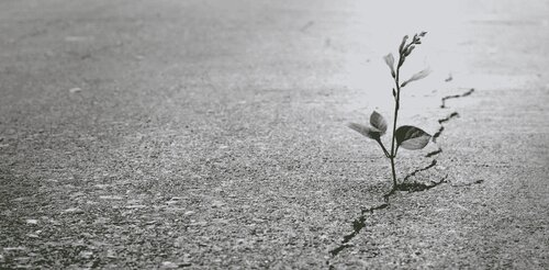 徐凯文心理创伤8讲（公众号懒人找资源）.md