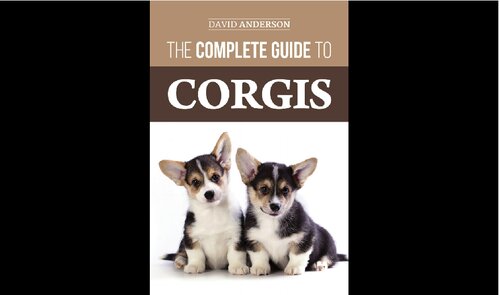 The Complete Guide to Corgis: Everything to Know About Both the Pembroke Welsh and Cardigan Welsh Corgi Dog Breeds