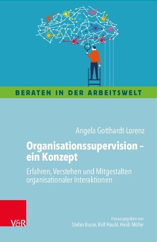 Organisationssupervision – ein Konzept: Erfahren, Verstehen und Mitgestalten organisationaler Interaktionen