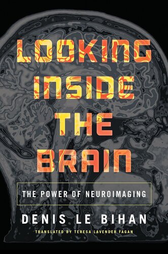 Looking inside the brain