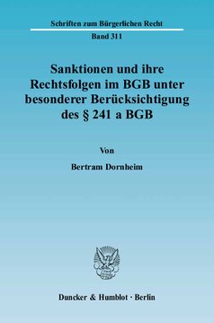 Sanktionen und ihre Rechtsfolgen im BGB unter besonderer Berücksichtigung des § 241 a BGB