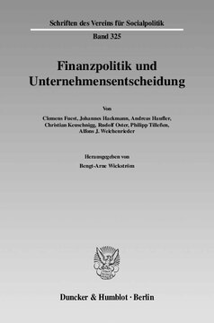 Finanzpolitik und Unternehmensentscheidung