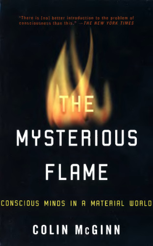 The Mysterious Flame: Conscious Minds In A Material World