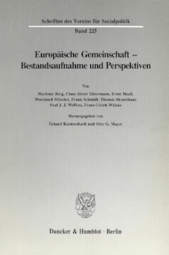 Europäische Gemeinschaft - Bestandsaufnahme und Perspektiven