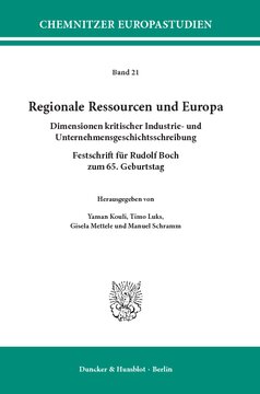 Regionale Ressourcen und Europa: Dimensionen kritischer Industrie- und Unternehmensgeschichtsschreibung. Festschrift für Rudolf Boch zum 65. Geburtstag