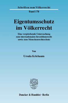 Eigentumsschutz im Völkerrecht: Eine vergleichende Untersuchung zum internationalen Investitionsrecht sowie zum Menschenrechtsschutz