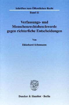 Verfassungs- und Menschenrechtsbeschwerde gegen richterliche Entscheidungen