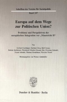 Europa auf dem Wege zur Politischen Union?: Probleme und Perspektiven der europäischen Integration vor »Maastricht II«