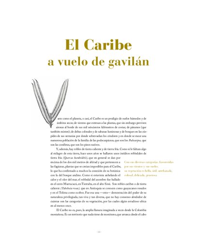 El Caribe a vuelo de gavilán