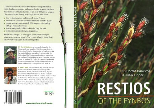 Restios of the Fynbos