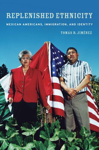 Replenished ethnicity: Mexican Americans, immigration, and identity