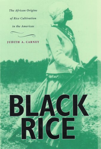 Black rice: the African origins of rice cultivation in the Americas