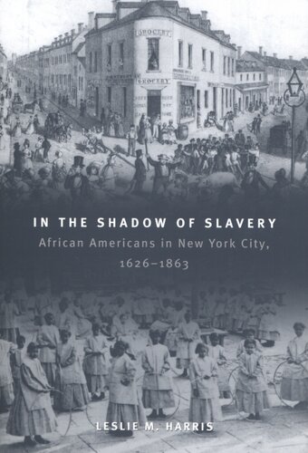 In the shadow of slavery: African Americans in New York City, 1626-1863
