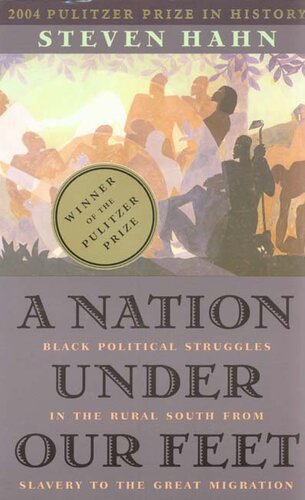 A nation under our feet: black political struggles in the rural South from slavery to the great migration