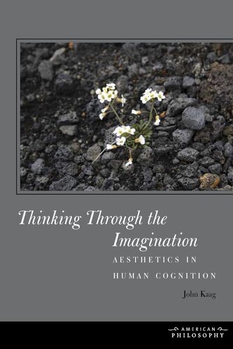 Thinking through the imagination: aesthetics in human cognition
