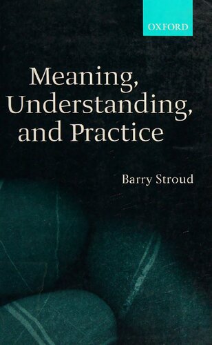 Meaning, Understanding and Practice