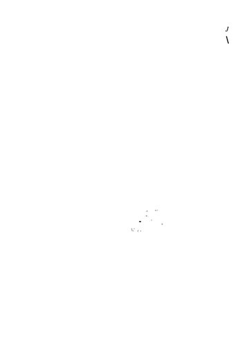 O marxismo ocidental