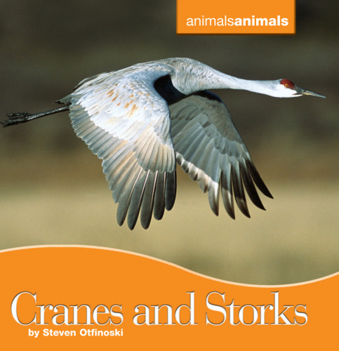 Cranes and Storks (Animals Animals)
