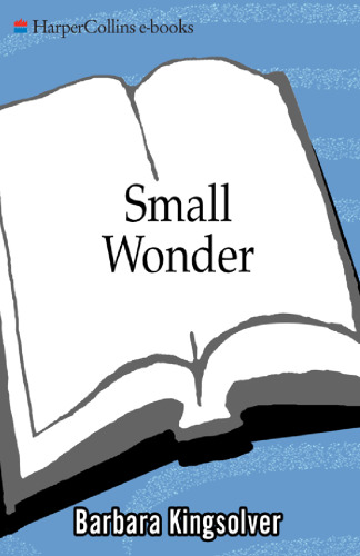 Small Wonder: Essays