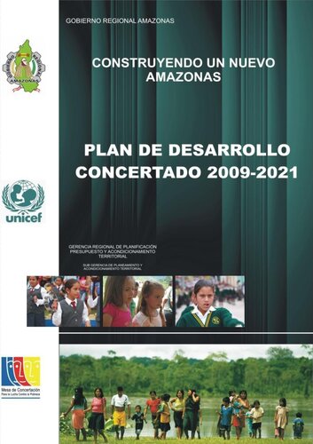 Construyendo un nuevo Amazonas. Plan de Desarrollo Regional Concertado 2009-2021: Sistema de organización