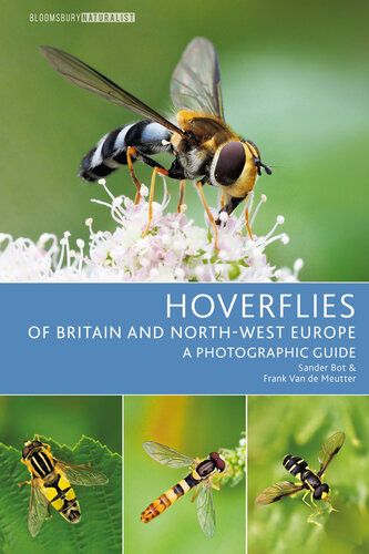 Hoverflies of Britain and North-west Europe : A Photographic Guide