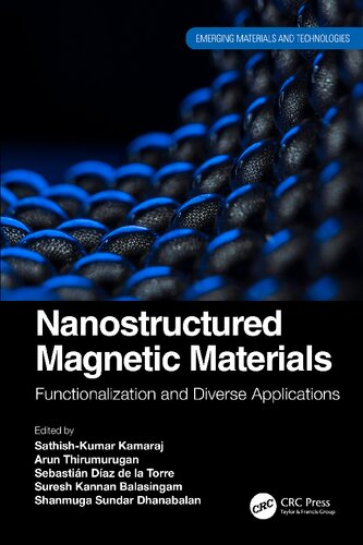 Nanostructured Magnetic Materials. Functionalization and Diverse Applications