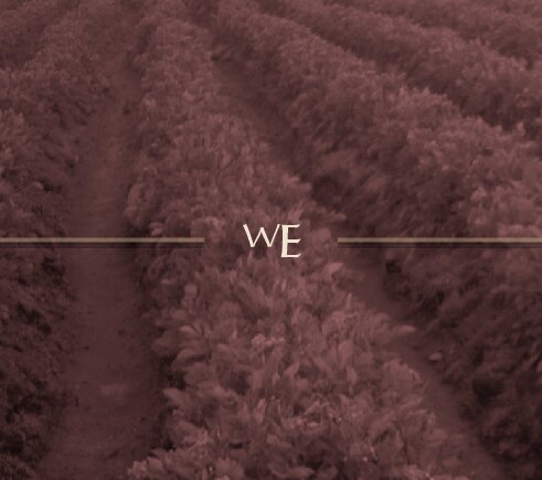 Las Wankas de Espinar Música tradicional de la región Cuzco