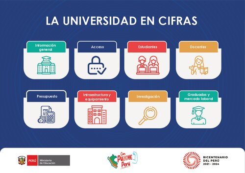 La universidad en cifras