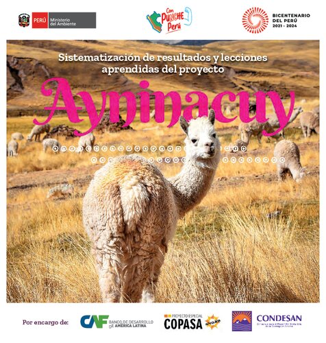 Sistematización de resultados y lecciones aprendidas del proyecto Ayninacuy