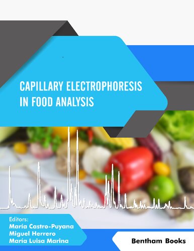 Capillary Electrophoresis in Food Analysis (Current and Future Developments in Food Science)