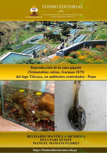 Reproducción de la rana gigante (Telmatobius culeus, Garman 1875) del lago Titicaca, en ambientes controlados - Puno