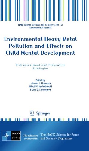 Environmental Heavy Metal Pollution and Effects on Child Mental Development: Risk Assessment and Prevention Strategies