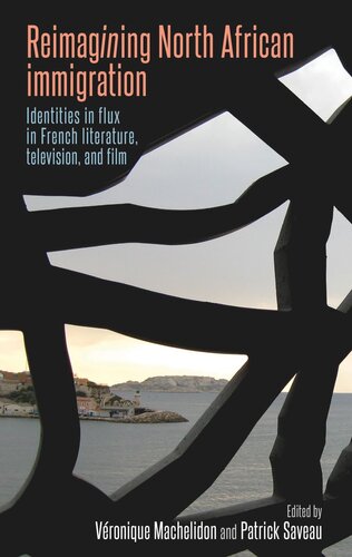 Reimagining North African immigration: Identities in flux in French literature, television, and film