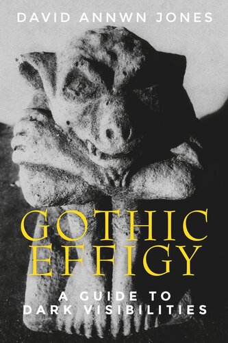 Gothic effigy: A guide to dark visibilities