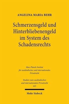 Schmerzensgeld und Hinterbliebenengeld im System des Schadensrechts: Ein deutsch-italienischer Rechtsvergleich unter besonderer Berücksichtigung der Haftung im Straßenverkehr. Dissertationsschrift