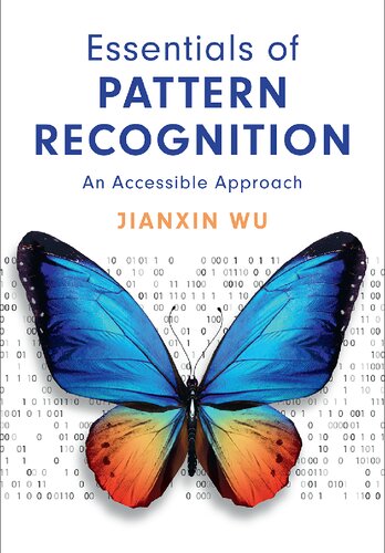 Essentials of Pattern Recognition: An Accessible Approach