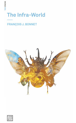 The Infra-World (Urbanomic / Mono Book 4)