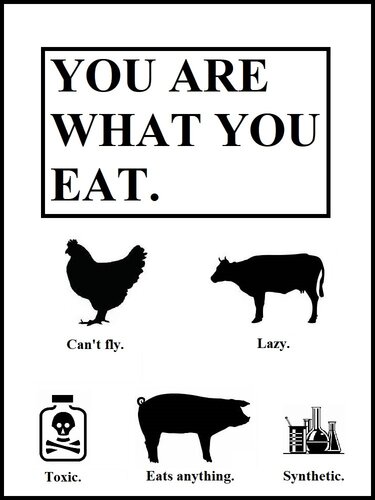 You Are What You Eat!: Healthy eating 101 (Metamorphosis Book 3)