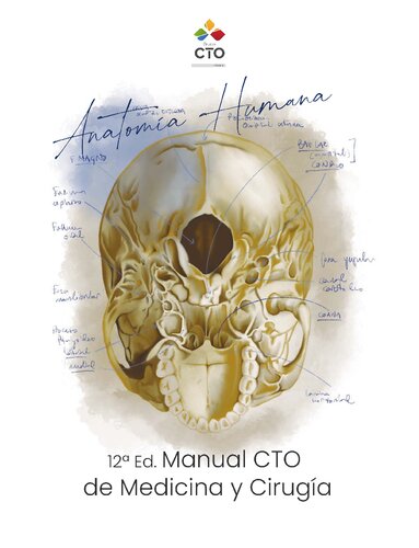 Anatomia Humana