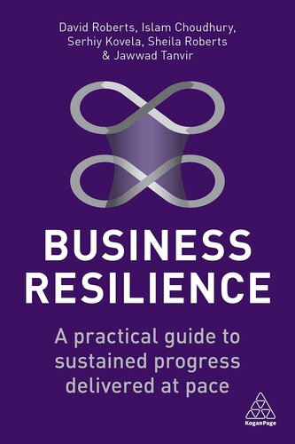Business Resilience: A Practical Guide to Sustained Progress Delivered at Pace