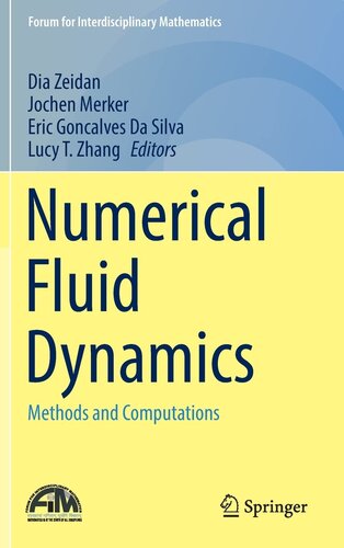 Numerical Fluid Dynamics: Methods and Computations (Forum for Interdisciplinary Mathematics)