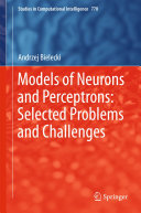 Models of Neurons and Perceptrons: Selected Problems and Challenges