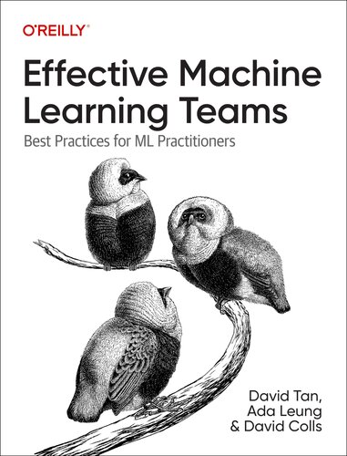 Effective Machine Learning Teams: Best Practices for ML Practitioners