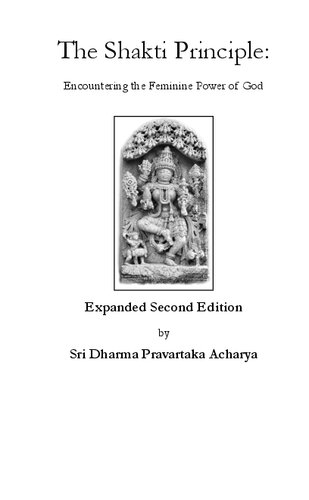 The Shakti Principle: Encountering the Feminine Power of God